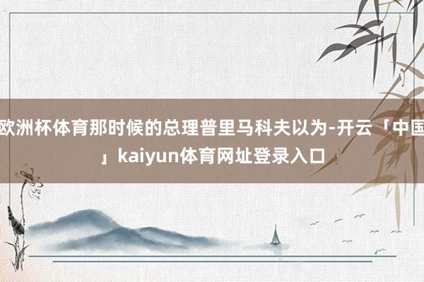 欧洲杯体育那时候的总理普里马科夫以为-开云「中国」kaiyun体育网址登录入口