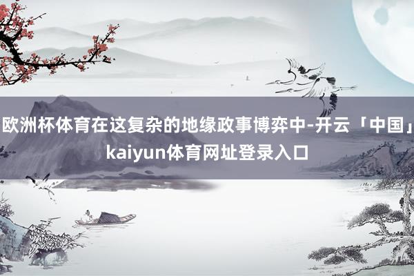 欧洲杯体育在这复杂的地缘政事博弈中-开云「中国」kaiyun体育网址登录入口